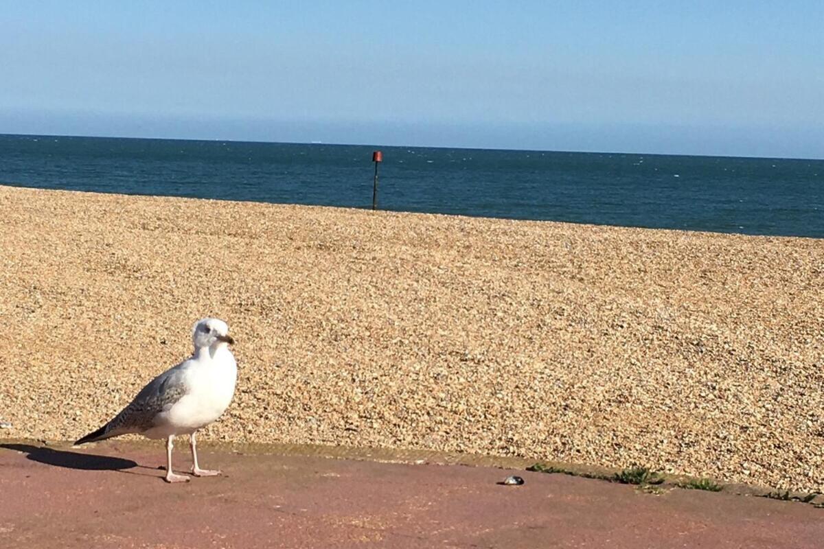 The Lookout Διαμέρισμα Hythe  Εξωτερικό φωτογραφία